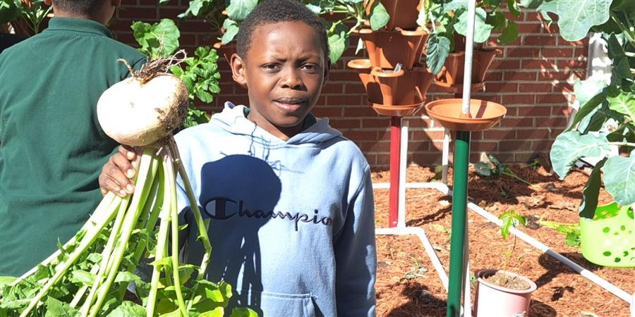 A 3rd grade student holding a turnip that grew in our Hydroponics Garden.